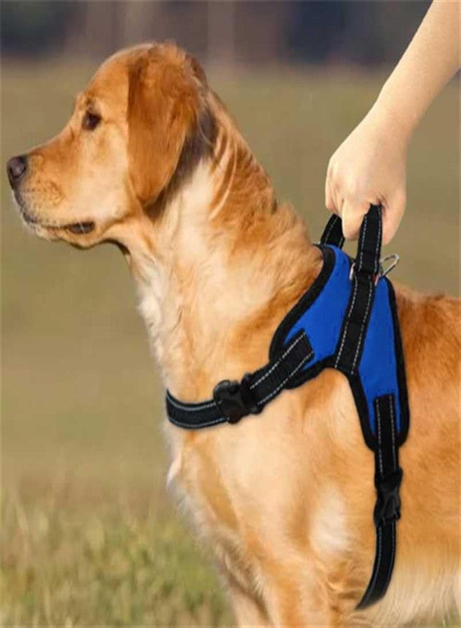 RoverPets No Pull Dog Body Belt | Adjustable & Soft Padded Dog Harness | for 05-13Kg Dogs - Shih Tzu, Poodle, Chihuahua - Color As Vary - Dezine - Image 4